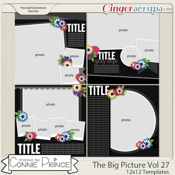 The Big Picture Volume 27 - 12x12 Temps (CU Ok) by Connie Prince