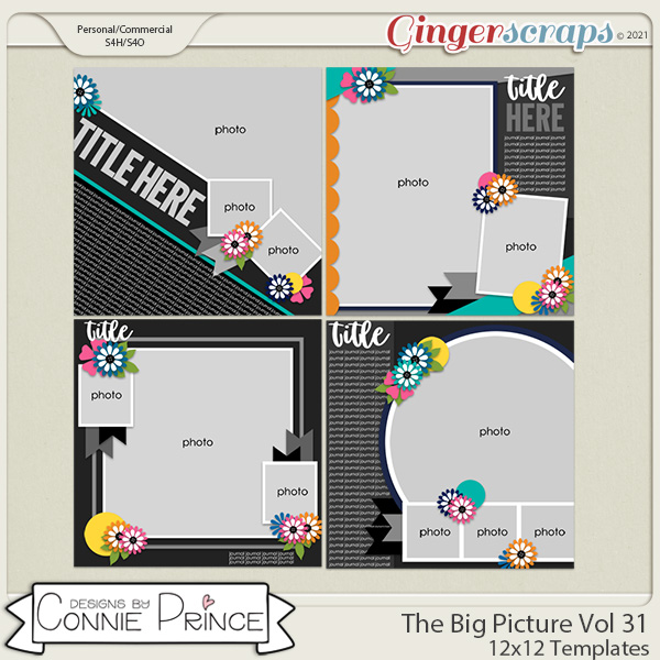 The Big Picture Volume 31 - 12x12 Temps (CU Ok) by Connie Prince