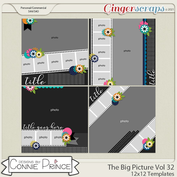 The Big Picture Volume 32 - 12x12 Temps (CU Ok) by Connie Prince