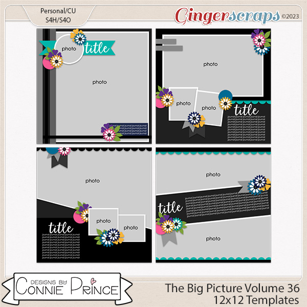 The Big Picture Volume 36  - 12x12 Temps (CU Ok) by Connie Prince