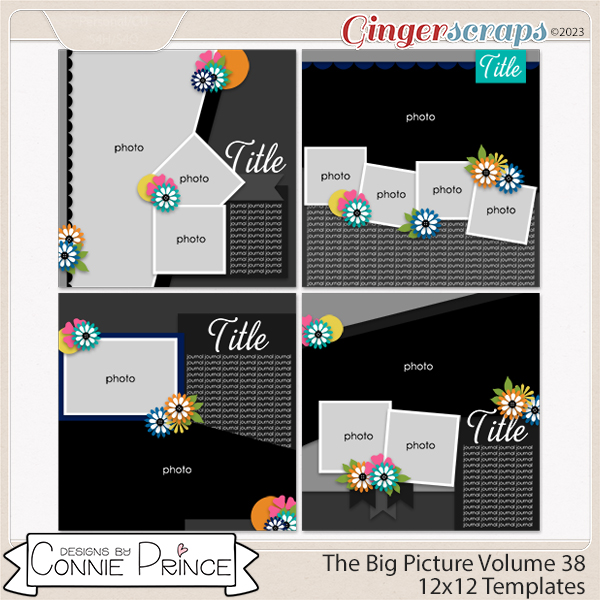 The Big Picture Volume 38 - 12x12 Temps (CU Ok) by Connie Prince