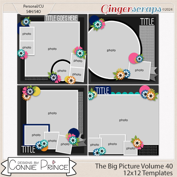 The Big Picture Volume 40 - 12x12 Temps (CU Ok) by Connie Prince