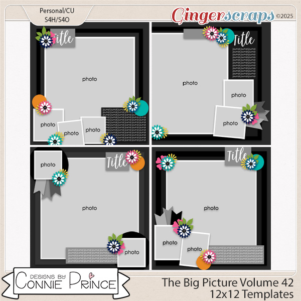 The Big Picture Volume 42 - 12x12 Temps (CU Ok) by Connie Prince