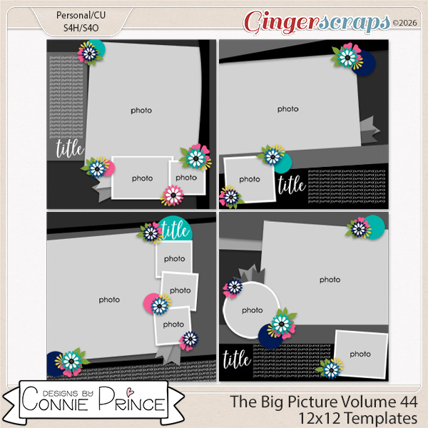 The Big Picture Volume 44 - 12x12 Temps (CU Ok) by Connie Prince