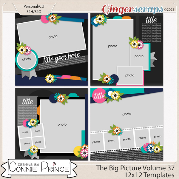 The Big Picture Volume 37 - 12x12 Temps (CU Ok) by Connie Prince