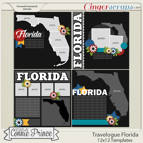 Travelogue Florida - 12x12 Temps (CU Ok)