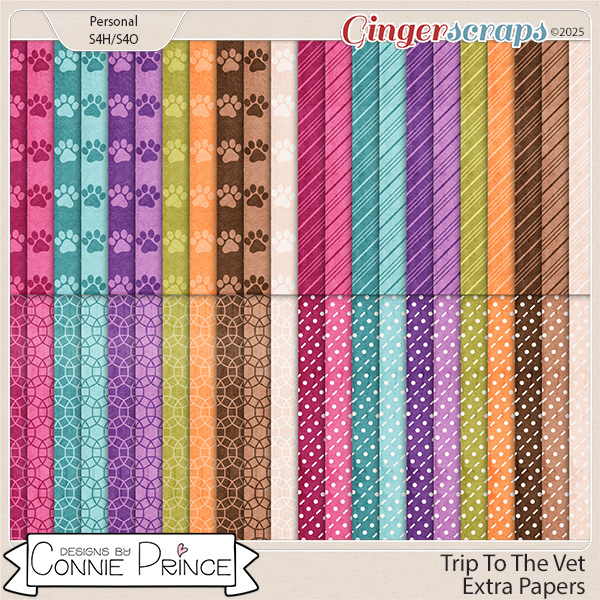 Trip To The Vet - Extra Papers by Connie Prince