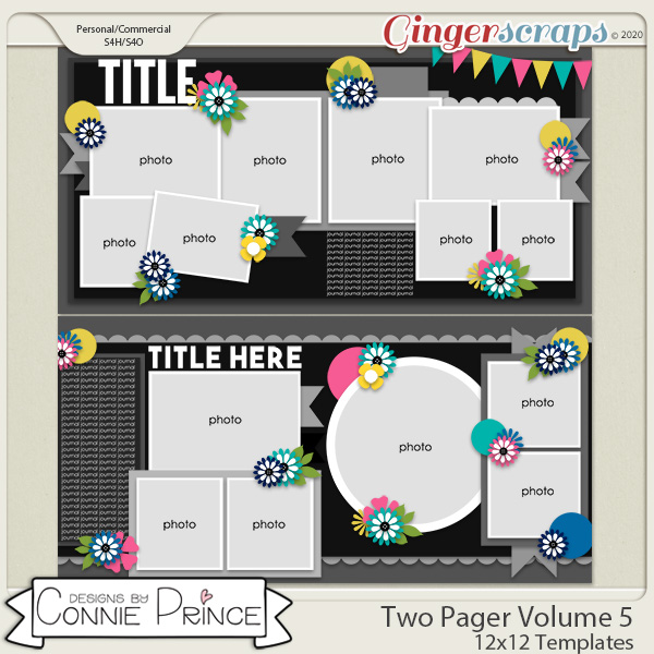 Two Pager Volume 5 - 24x12 Temps (CU Ok) by Connie Prince