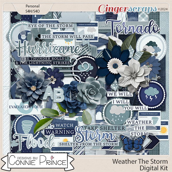 Weather The Storm - Kit by Connie Prince