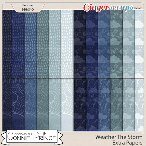 Weather The Storm - Extra Papers by Connie Prince