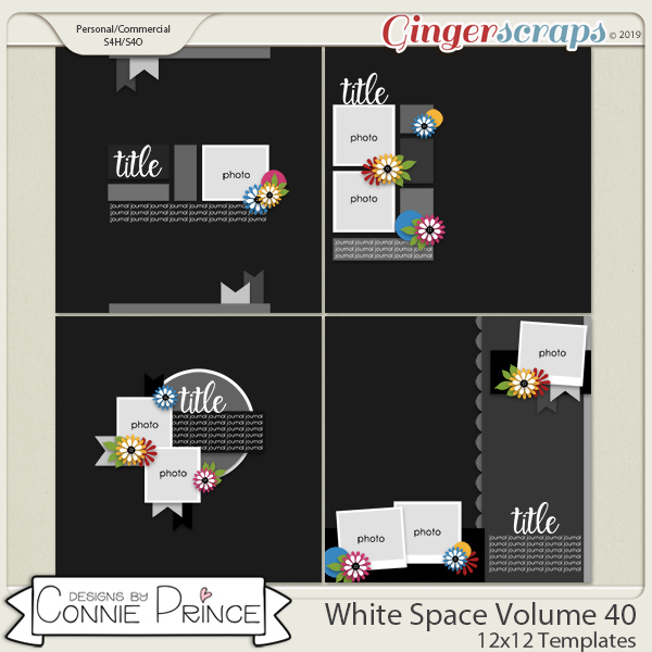 White Space Volume 40 - 12x12 Temps (CU Ok) by Connie Prince