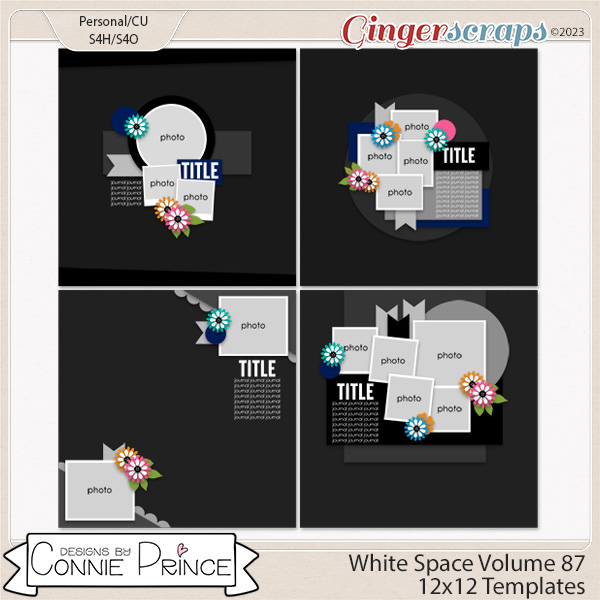 White Space Volume 87 - 12x12 Temps (CU Ok) by Connie Prince