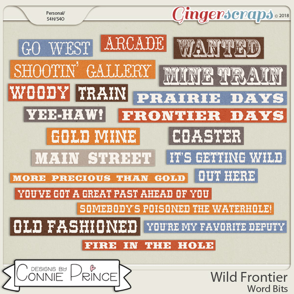 Wild Frontier - Word Bits by Connie Prince