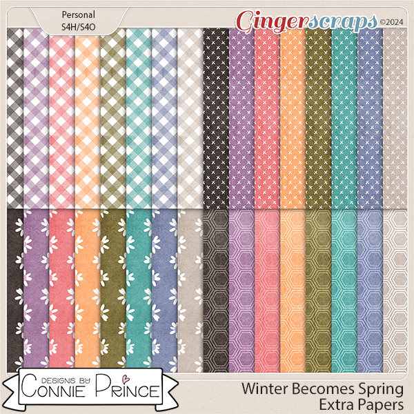 Winter Becomes Spring - Extra Papers by Connie Prince