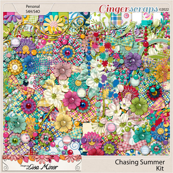 Chasing Summer from Designs by Lisa Minor