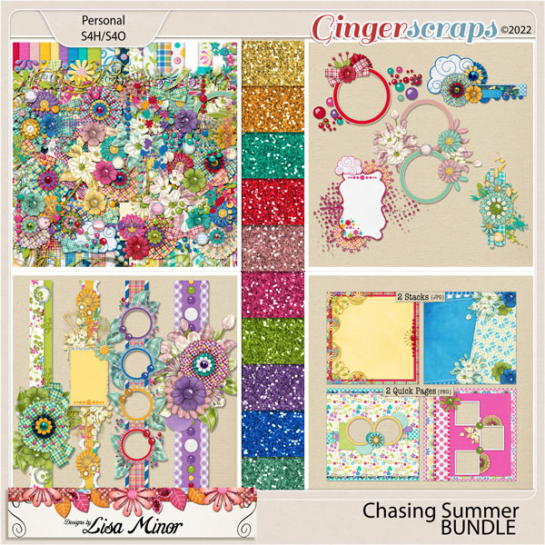 Chasing Summer BUNDLE from Designs by Lisa Minor