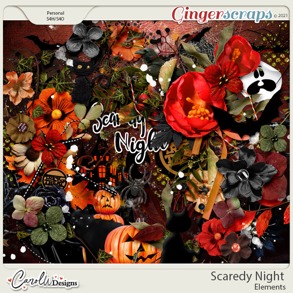 Scaredy Night-Elements