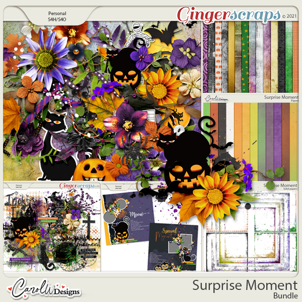 Surprise Moment-Bundle ONLY CT