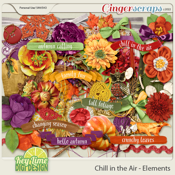 Chill In The Air Elements