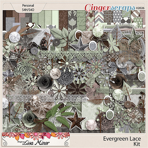 Evergreen Lace from Designs by Lisa Minor
