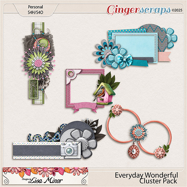 Everyday Wonderful Cluster Pack from Designs by Lisa Minor