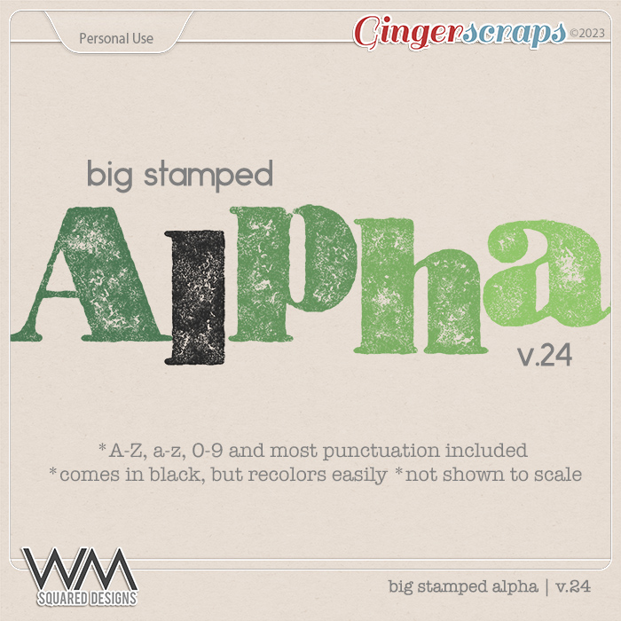 Big Stamped Alpha | V.24