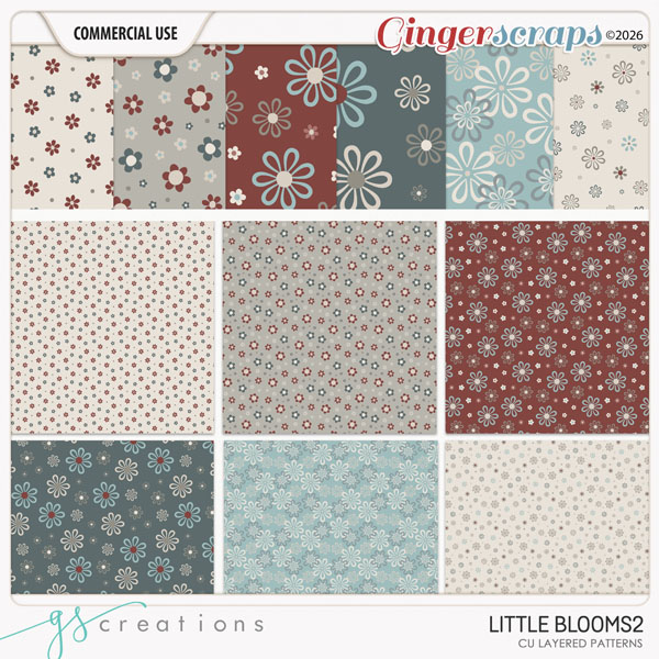 Little Blooms2 Patterns by GS Creations