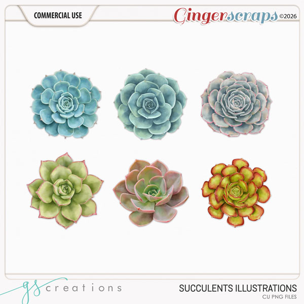 Succulents Illustrations (CU) by GS Creations