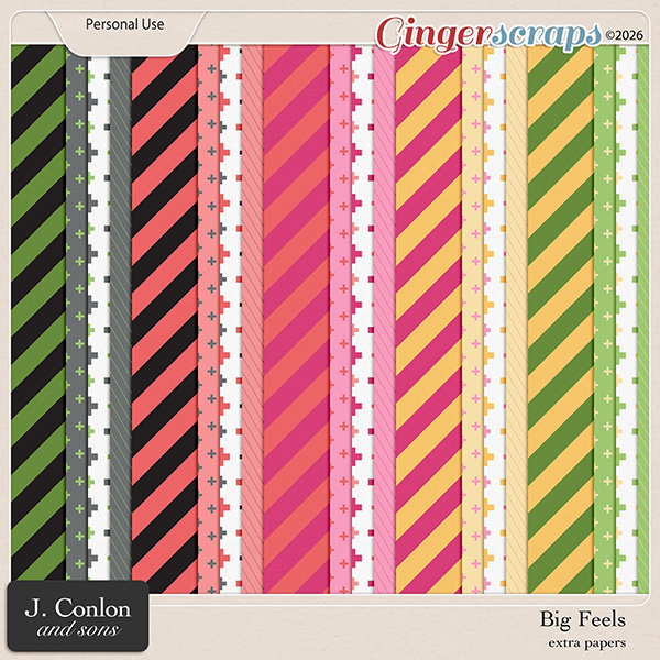 Big Feels Extra Papers by J. Conlon and Sons