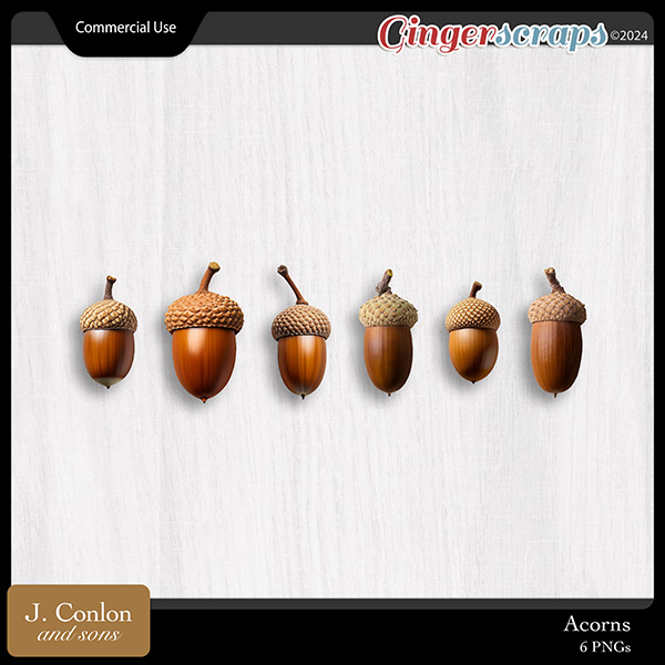 Acorns CU Embellishments by J. Conlon and Sons