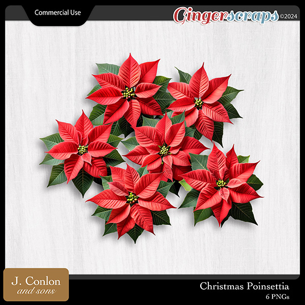 Christmas Poinsettia CU Embellishments by J. Conlon and Sons