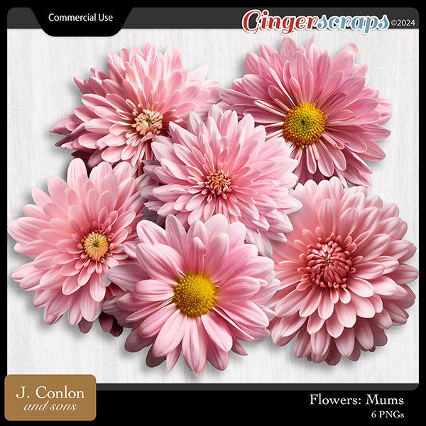 Flowers: Mums CU Embellishments J. Conlon and Sons