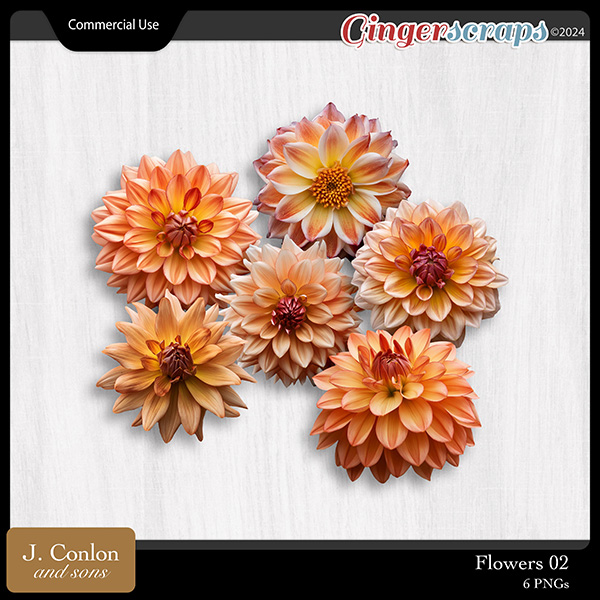 Flowers 02 CU Embellishments by J. Conlon and Sons