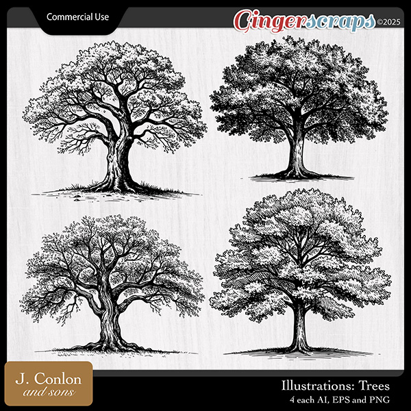 Illustrations: Trees CU by J. Conlon and Sons