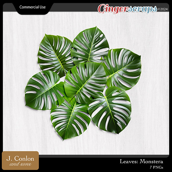 Monstera CU Embellishments by J. Conlon and Sons