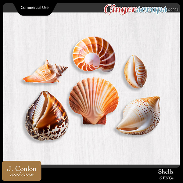 Seashells CU Embellishments by J. Conlon and Sons