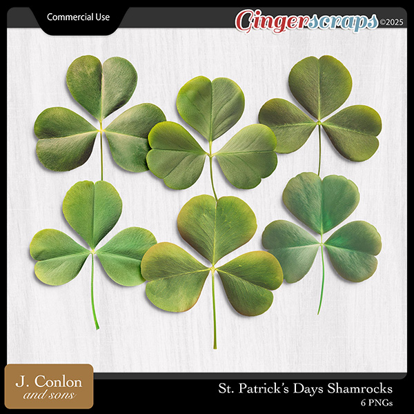 St. Patrick's Day Shamrocks CU by J. Conlon and Sons
