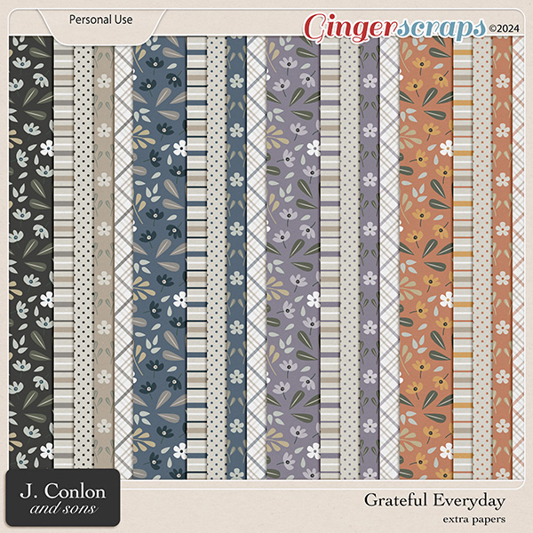 Grateful Everyday Extra Papers by J. Conlon and Sons