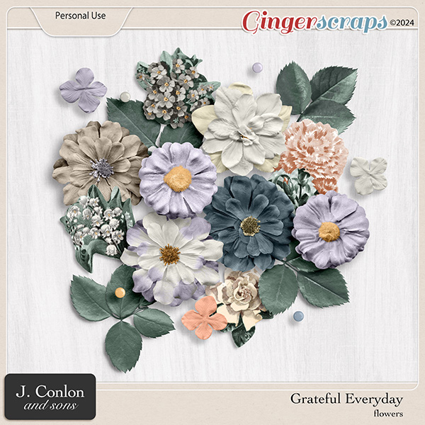 Grateful Everyday Flowers by J. Conlon and Sons