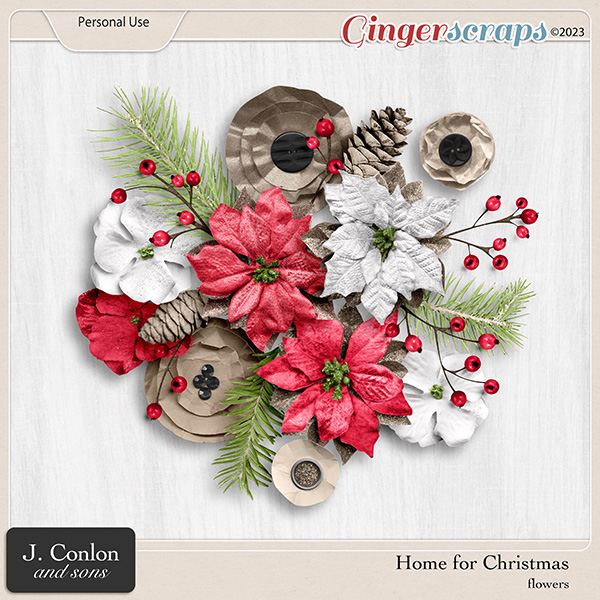 Home for Christmas Flowers by J. Conlon and Sons