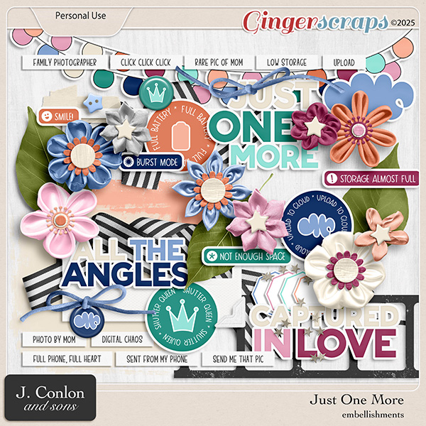 Just One More Embellishments by J. Conlon and Sons