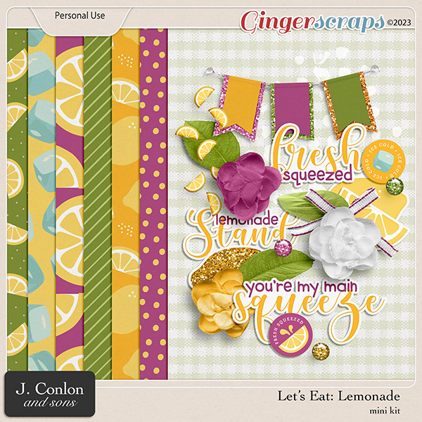 Let's Eat: Lemonade Mini Kit by J. Conlon and Sons