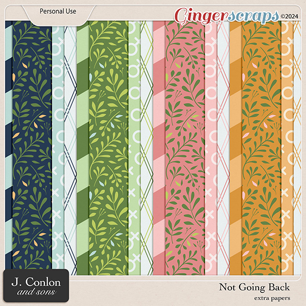 Not Going Back Extra Papers by J. Conlon and Sons