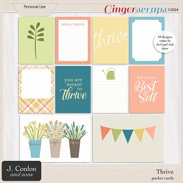 Thrive Pocket Cards by J. Conlon and Sons