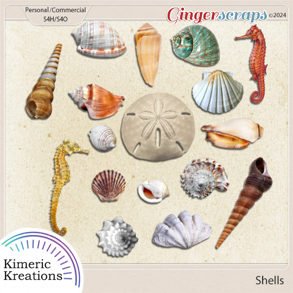 Shells by Kimeric Kreations    
