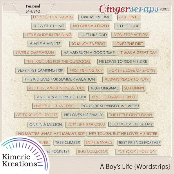 A Boys Life Word Strips by Kimeric Kreations