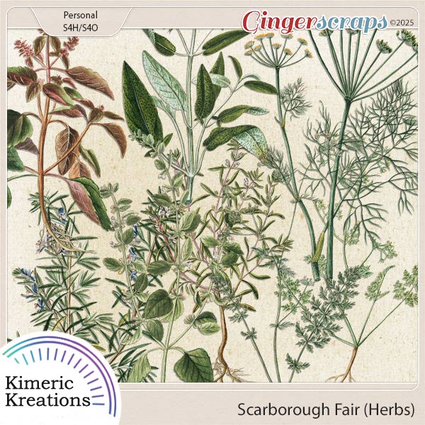 Scarborough Fair Herbs by Kimeric Kreations