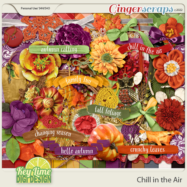 Chill In The Air Collection by Key Lime Digi Design