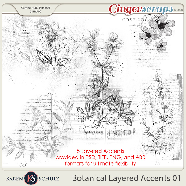 Botanical Layered Accents 01 by Karen Schulz
