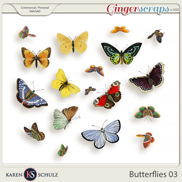 Butterflies 03 by Karen Schulz